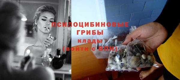 гидропоника Балабаново