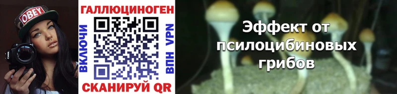 Псилоцибиновые грибы Magic Shrooms  ссылка на мегу рабочий сайт  Щёлкино 